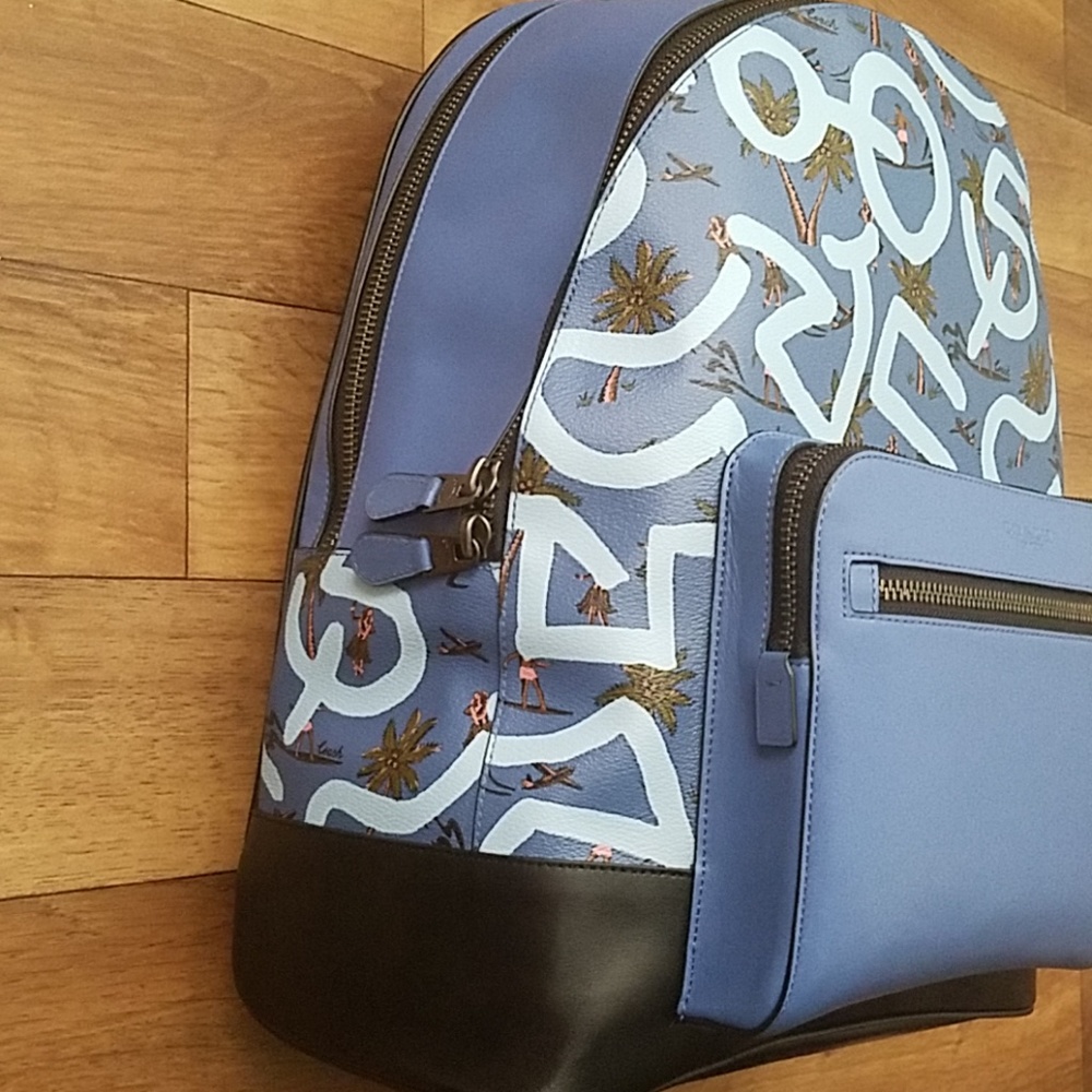 Coach Keith Haring West Backpack Blue Hula Print - Picture 2 of 8